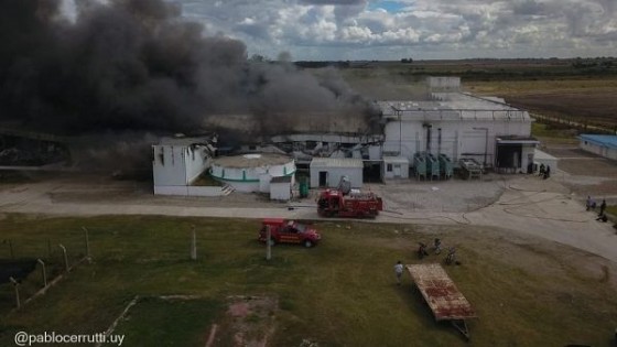 Pérdidas totales tras incendio en Frigorífico Mendoza — Economía — Dinámica Rural | El Espectador 810