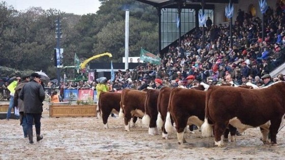 Estar en Expo Palermo es ''estar en primera línea'' — Exposiciones — Dinámica Rural | El Espectador 810