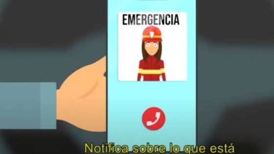 Recomendaciones del SINAE para el ciclón extratropical/ Tormenta de ideas: Darwin habló de Guinchico o Gurinche y la Arrancandongapp — Columna de Darwin — No Toquen Nada | El Espectador 810