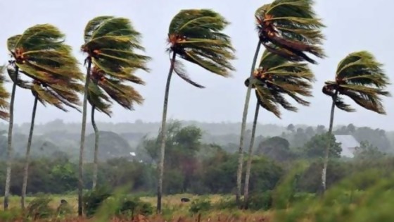 El viento nos trajo noticias — De qué te reís: Diego Bello — Más Temprano Que Tarde | El Espectador 810