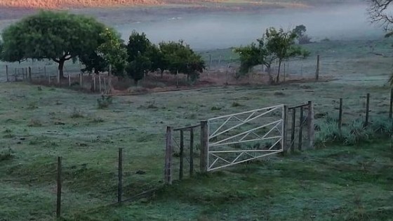 ''El invierno estaría dentro de una fase neutra'' — Clima — Dinámica Rural | El Espectador 810