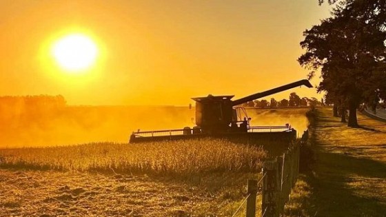 Estado de situación, para planificar lo que viene — Economía — Dinámica Rural | El Espectador 810