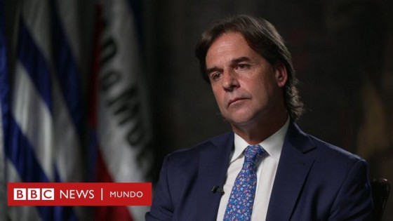 Lo mejor de las columnas de Darwin del 30/05 al 03/06 — Columna de Darwin — No Toquen Nada | El Espectador 810