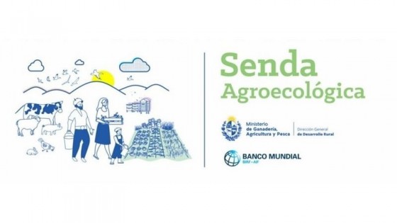 MGAP, con el objetivo de apoyar al productor, pero con la convicción de que ''más sustentabilidad, tiene que ser más sustentabilidad'' — Política — Dinámica Rural | El Espectador 810