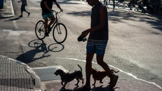 ¿Qué se entiende por la tenencia responsable? — Tu mascota te quiere decir algo — Paren Todo | El Espectador 810