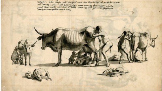 La verdad sobre las vacas indias — Segmento dispositivo — La Venganza sera terrible | El Espectador 810