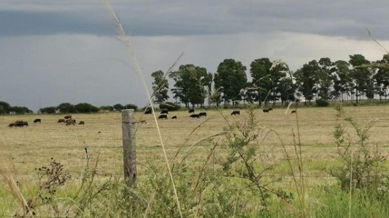 Invierno: Se fueron las altas temperaturas, volvió el frío y con lluvias — Clima — Dinámica Rural | El Espectador 810