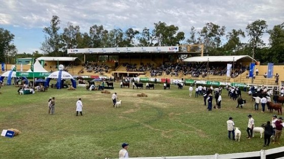 Criadores de la región le dan el marco a la Expo R. M. Alonso — Exposiciones — Dinámica Rural | El Espectador 810