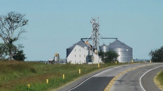 Rendición de cuentas en el agro — Impuestos — Dinámica Rural | El Espectador 810