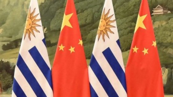 Miedos locales y regionales al TLC con China/ Darín se hizo uruguayo, pobre/ Epílogo de las mascotas AUF — Columna de Darwin — No Toquen Nada | El Espectador 810