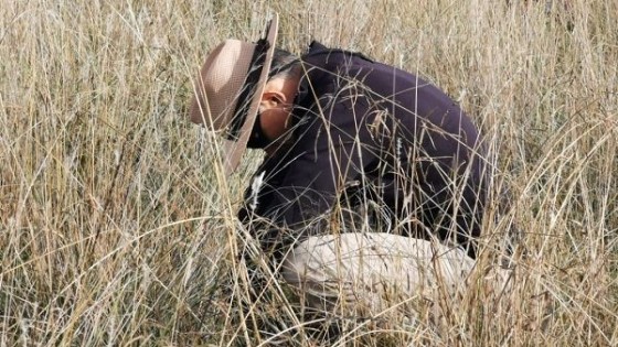 ''No se esperan heladas en los próximos días'' — Clima — Dinámica Rural | El Espectador 810