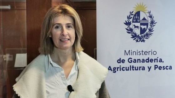 F. Maldonado: ''Hay números que alarman, por eso manos a la obra para apoyar al rubro ovino'' — Producción familiar — Dinámica Rural | El Espectador 810