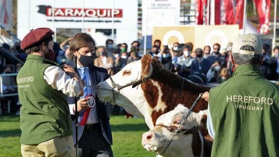 Se viene la exposición más representativa del campo uruguayo  — Exposiciones — Dinámica Rural | El Espectador 810