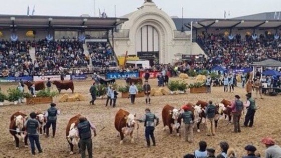 S. Bordaberry: ''Expo Palermo es enorme, en todo'' — Exposiciones — Dinámica Rural | El Espectador 810