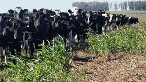 ''Esperamos una buena primavera con el clima como aliado'' — Lechería — Dinámica Rural | El Espectador 810