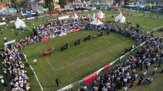 Expo Prado: regresa con su esencia productiva, tecnológica y genética — Exposiciones — Dinámica Rural | El Espectador 810