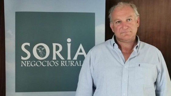 Zafra de primavera: ''Estamos ante una venta excluyente en todo sentido'' — Zafra — Dinámica Rural | El Espectador 810