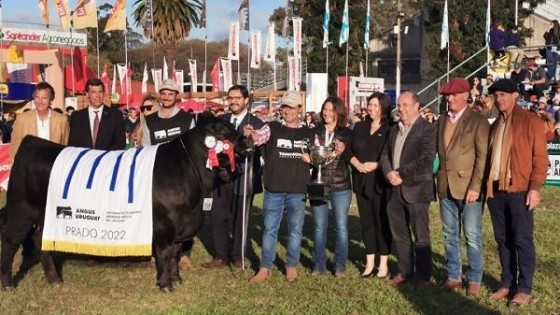 En Angus la Gran Campeona es de Bayucuá y Gustavo Riani — Exposiciones — Dinámica Rural | El Espectador 810