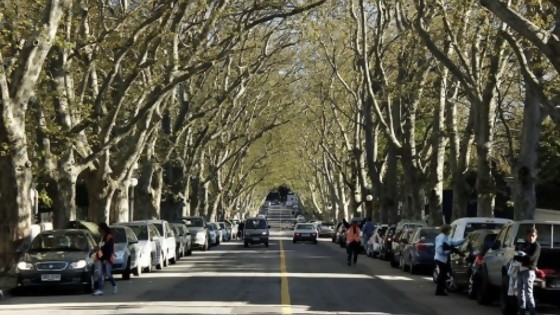 Las tendencias climáticas para la primvera — Entrevistas — No Toquen Nada | El Espectador 810