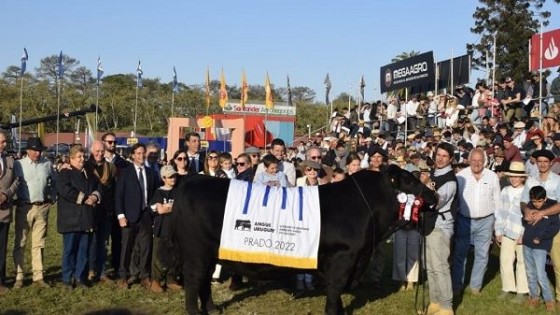 L. Fernández: ''La calidad, la constancia y creer en el paso qué das, es todo'' — Exposiciones — Dinámica Rural | El Espectador 810