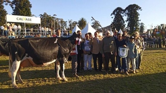 ''El Chivo'' acaparó en Holando: Gran Campeona SH y Pedigree, además obtuvo la Gran Campeona Suprema — Exposiciones — Dinámica Rural | El Espectador 810