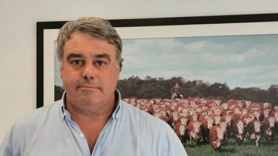 Aicardi sobre los polled hereford de El Yatay: “una torada excepcional” — Zafra — Dinámica Rural | El Espectador 810