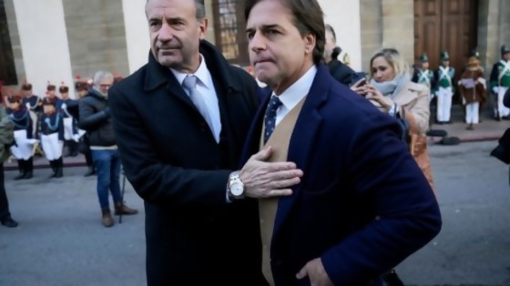 No vuelvas, Daniel / Empatía presidencial con método Brando: Darwin pasó 72hs en los zapatos del presidente, que debe calzar 37, subió las cargas y se desgarró — Columna de Darwin — No Toquen Nada | El Espectador 810