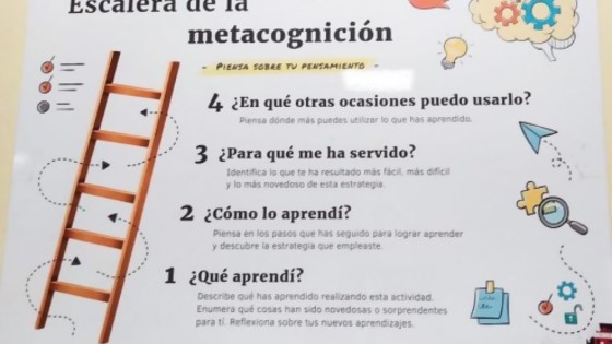 Aprender a aprender y metacognición — Melina Furman — No Toquen Nada | El Espectador 810