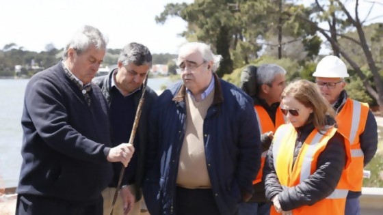 Puente de La Barra en el CTI recibe visita de Antía/ Ecoilogistas anti-petróleo atacan cuadro de Van Gogh/ La 2 de Pfizer se hizo viral  — Columna de Darwin — No Toquen Nada | El Espectador 810