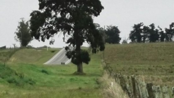 Mario BidegainM. Bidegain: ''Cerca del fin de semana pueden ocurrir lluvias en la frontera con Brasil'' — Clima — Dinámica Rural | El Espectador 810