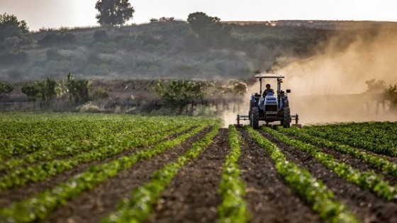 El tiempo y su importancia para el campo — Clima — Dinámica Rural | El Espectador 810