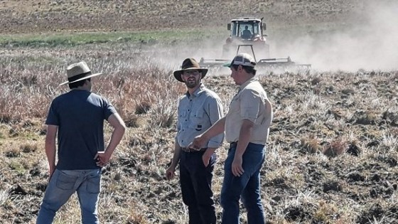 La agricultura se hace imprescindible en el norte — Inversión — Dinámica Rural | El Espectador 810