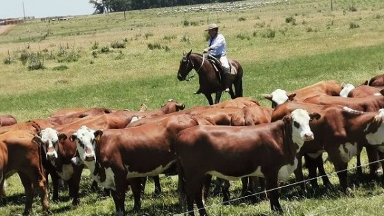 C. Leite: ''en Grupo Larrarte apostamos  por una sanidad preventiva'' — Sanidad — Dinámica Rural | El Espectador 810