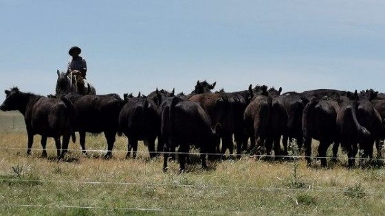 ''La Niña'' baja su intensidad y da paso a la lluvia — Clima — Dinámica Rural | El Espectador 810