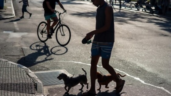 Los desafíos del gobierno para estimular la tenencia responsable de perros — NTN Concentrado — No Toquen Nada | El Espectador 810