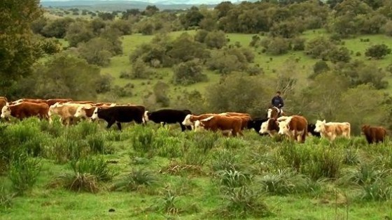 M. Bidegain: ''Descenso en las temperaturas, y quizá llueva'' — Clima — Dinámica Rural | El Espectador 810