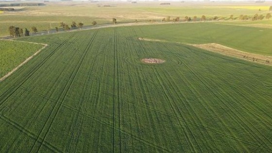 Clima: El campo  y la ciudad  — Clima — Dinámica Rural | El Espectador 810