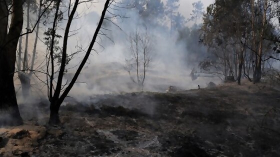 Bomberos reclaman por falta de personal y recursos — Entrevistas — Primera Mañana | El Espectador 810