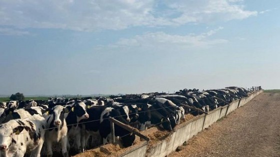  La sequía comprometió parte de la producción qué viene. Qué se puede hacer? — Sanidad — Dinámica Rural | El Espectador 810