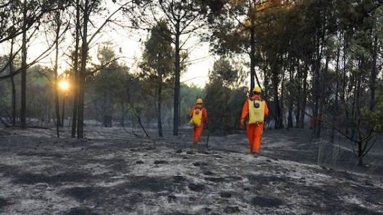 La estrategia del Sistema Nal. de Emergencias ante la sequía y los incendios — La Entrevista — Más Temprano Que Tarde | El Espectador 810