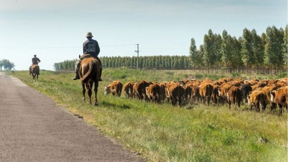 Sequía: se destinarán 100 millones de pesos para pequeños productores  — Política — Dinámica Rural | El Espectador 810