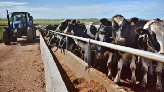 Justino Zavala: va a ser una primavera desafiante para nosotros — Lechería — Dinámica Rural | El Espectador 810