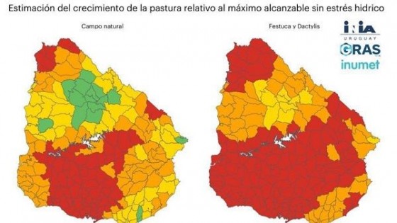 El campo natural,  la festuca  y Dactilys tienen un crecimiento por debajo de lo que se puede esperar en un escenario de sequía, según INIA Gras  — Clima — Dinámica Rural | El Espectador 810