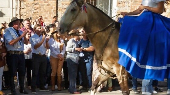 Los detalles de la Fiesta Nacional del Caballo en Dolores — Andén 810 — Puras Palabras | El Espectador 810