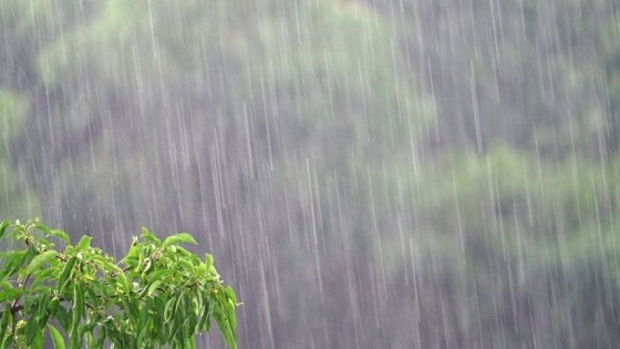 José Serra: lluvias y tormentas, con acumulados de entre 30mm y 50mm — Clima — Dinámica Rural | El Espectador 810