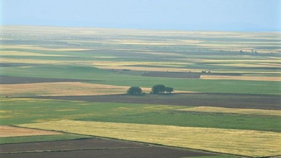 INC entregó tierras a tres grupos de mujeres rurales — Inversión — Dinámica Rural | El Espectador 810