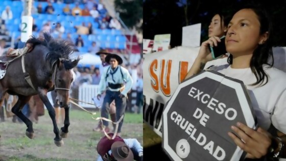 Mascotización platónica de los animalistas vs personas en situación de ruralidad — Columna de Darwin — No Toquen Nada | El Espectador 810