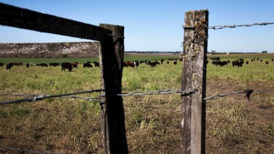 Federación Rural solicitó al MGAP y al MEF que vuelquen al INIA lo recaudado por IMEBA — Economía — Dinámica Rural | El Espectador 810