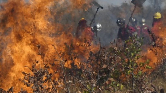 Incendios en Paraguay: áreas protegidas amenazadas — Puesta a punto — Más Temprano Que Tarde | El Espectador 810