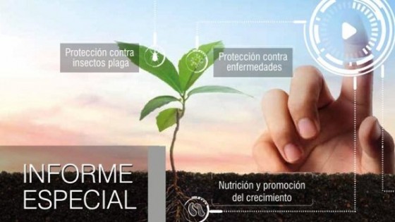 Abreo, de Bioinsumos INIA: ir hacia una agricultura de menor impacto implica cambiar las herramientas — Innovación — Dinámica Rural | El Espectador 810